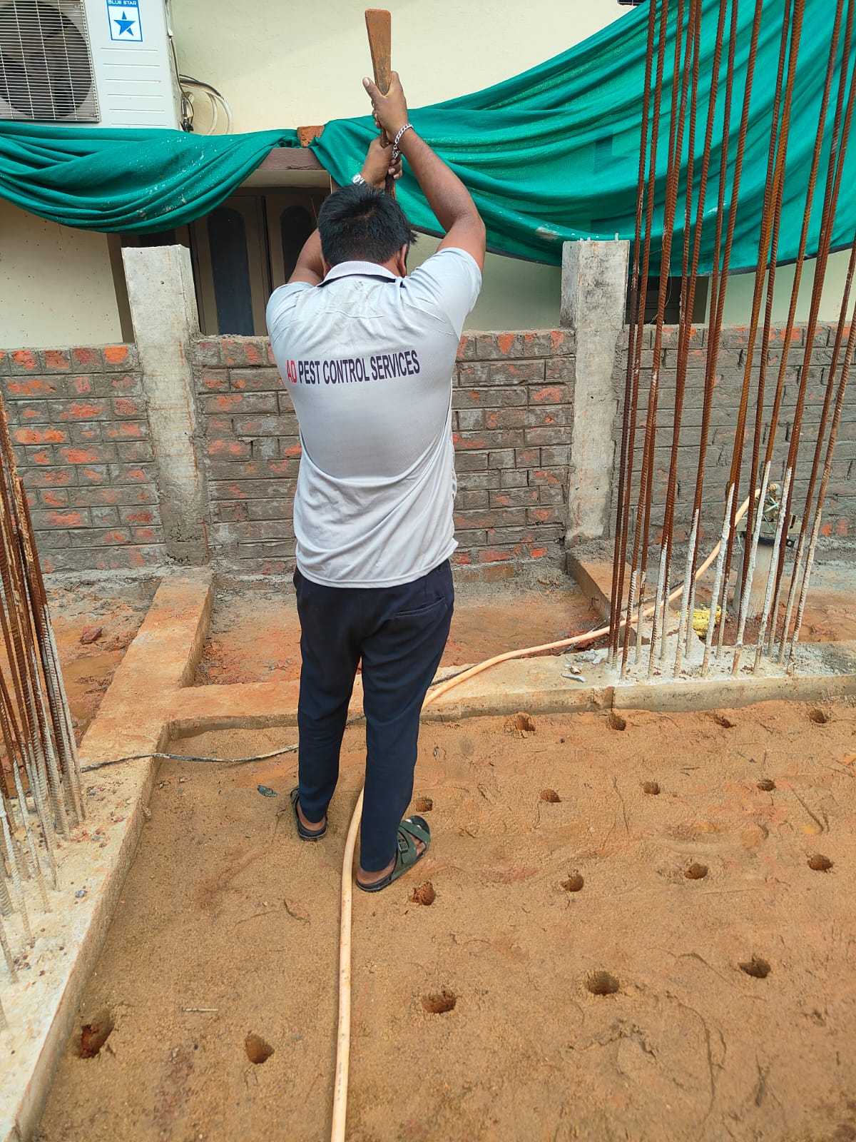 AD Pest Control Treatment 10